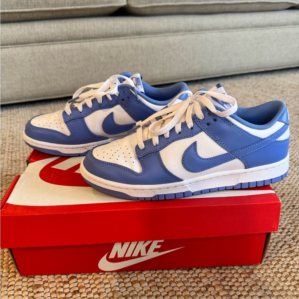Nike Dunks size 7.5